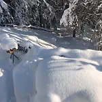 Berghaus Auf 1200m Hoehe בית נופש